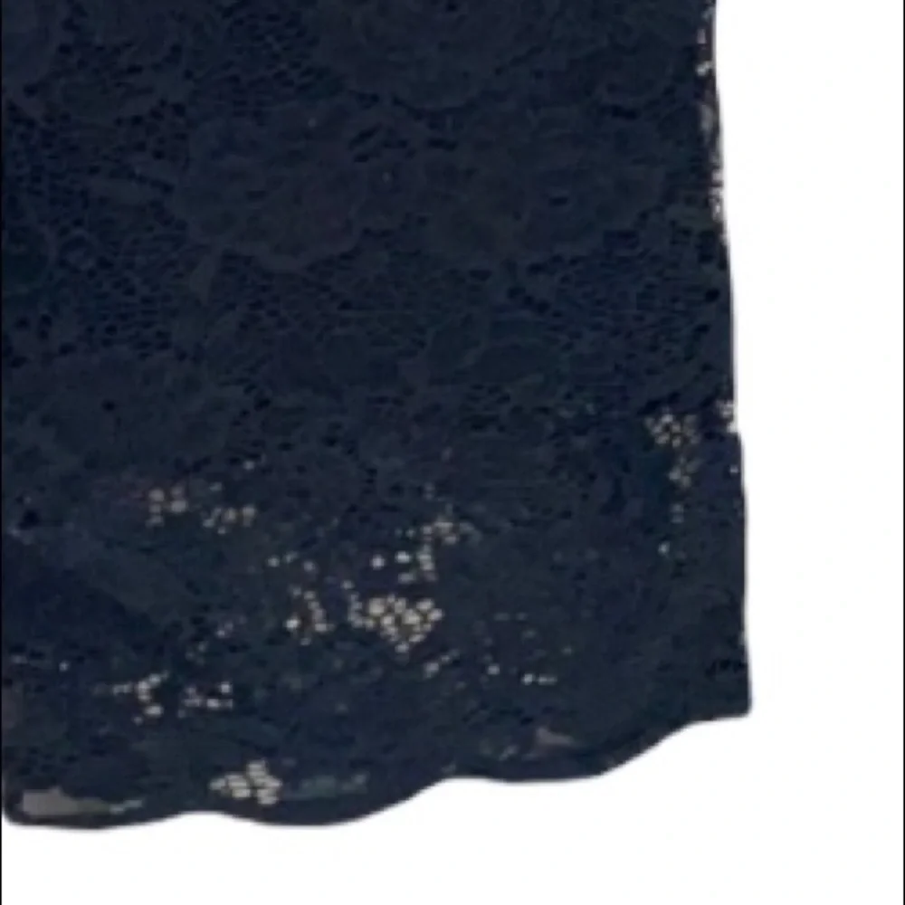 Embroidered Lace Mesh Dressy Black Shorts Pull On Comfort Elastic Waist Size 3X